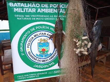 Após dupla fazer arrastão no Rio Miranda, PMA recolhe 12 kg de pescado ilegal