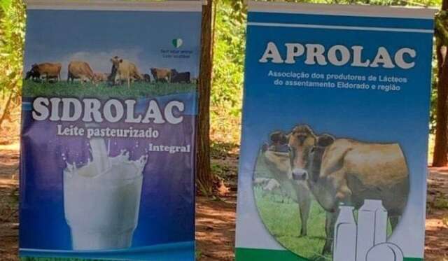 Marca de leite produzida em assentamento vai alimentar alunos em Sidrolândia