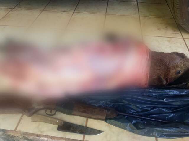 Ap&oacute;s matar capivara, homem &eacute; preso retirando couro do animal