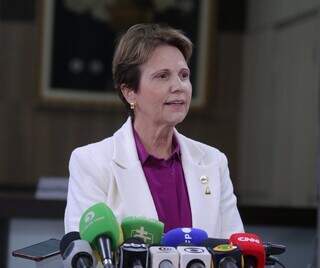 Brasil vai lançar Plano Nacional de Fertilizantes, anuncia ministra