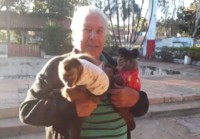 Macacos Catarina e Chiquinho obt&ecirc;m liminar contra Ibama e voltar&atilde;o para Vicente