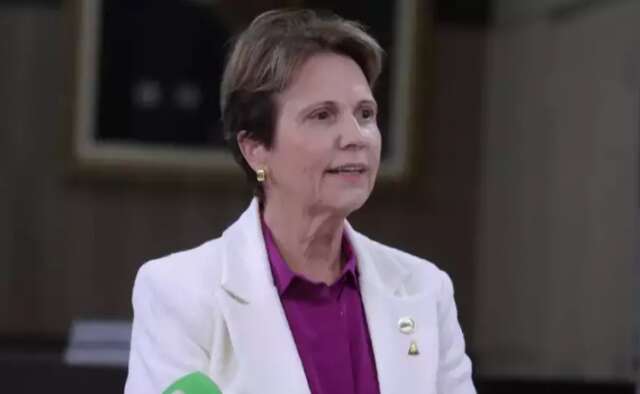 Ministra diz que Brasil tem fertilizantes para até o início da próxima safra