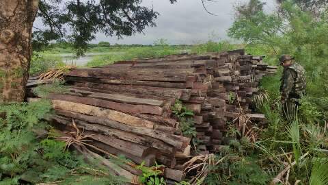 Empresa é autuada em quase R$ 20 mil por armazenamento ilegal de madeira 