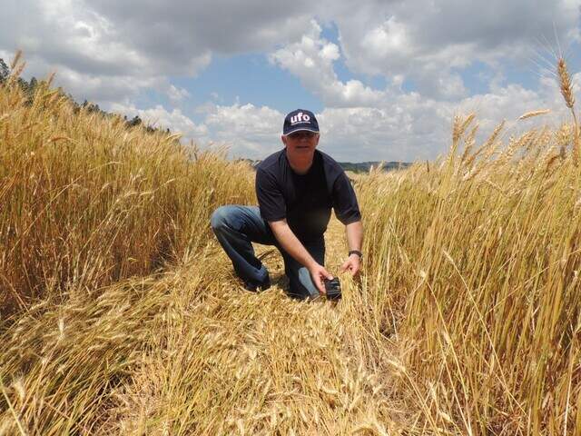 Mistério de OVNI do Morenão faz 40 anos, sem qualquer foto registrada ...