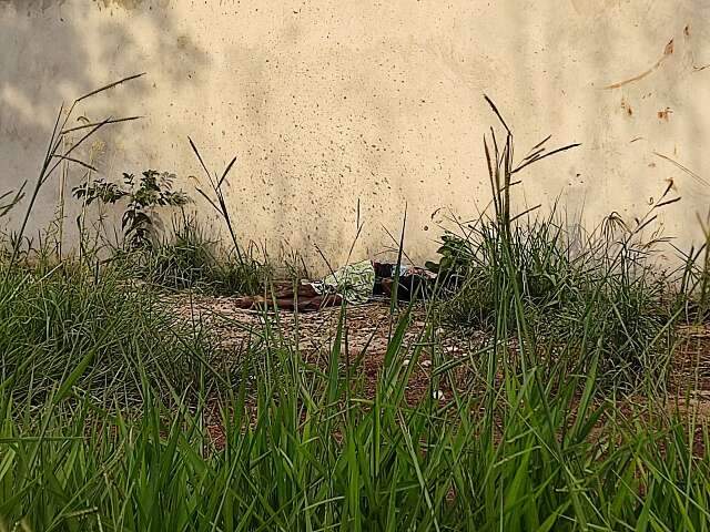 Homens s&atilde;o assassinados com facadas, tiro e pauladas; pol&iacute;cia apura motiva&ccedil;&otilde;es