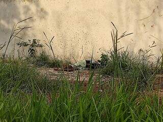 Terreno no Bairro Parque das Nações 1, onde um homem foi encontrado morto com tiro na cabeça. (Foto: Adilson Domingos)