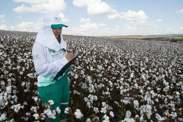 Participação de mulheres em atividades agrícolas cresce 109% em dez anos