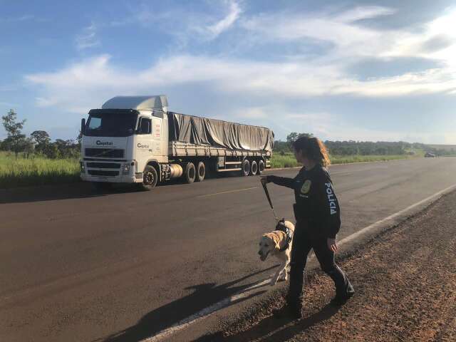 Idoso &eacute; preso com meia tonelada de coca&iacute;na escondida em engradados de cerveja