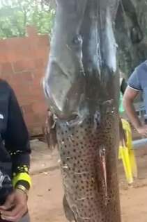 Pescador é multado em R$ 900 após ostentar “peixão” em rede social