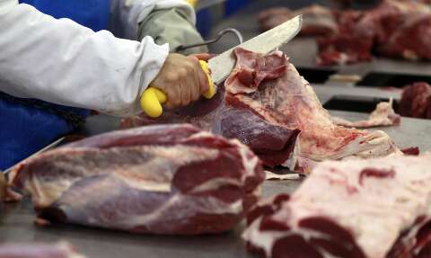 Exportações totais de carne bovina crescem 47% em fevereiro