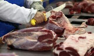 Sala de desossa de frigorífico brasileiro habilitado para exportação; China continua sendo o principal destino das carnes bovinas brasileiras. (foto/Agência Brasil)