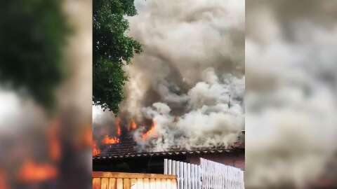 Imagens mostram dimensão do incêndio que destruiu prédio de floricultura 