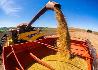 Colheita da soja avança em áreas produtoras e dita o ritmo do plantio do milho segunda safra. (Foto: Arquivo/Embrapa)