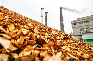 Energia a partir de biomassa teve aumento no Estado. (Foto: Reprodução/Internet)