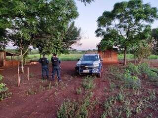 Policiais no local onde homem foi encontrado morto a facadas (Foto: Adilson Domingos)