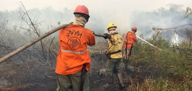 Instituto lan&ccedil;a campanha para manter Brigada Alto Pantanal ativa