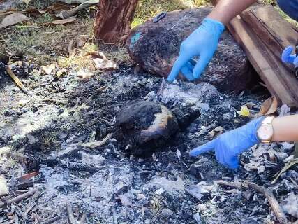 Homem &eacute; assassinado e corpo queimado no quintal; filho &eacute; o principal suspeito