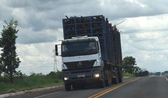 Governo do Estado volta a cobrar taxa sobre transporte de eucalipto