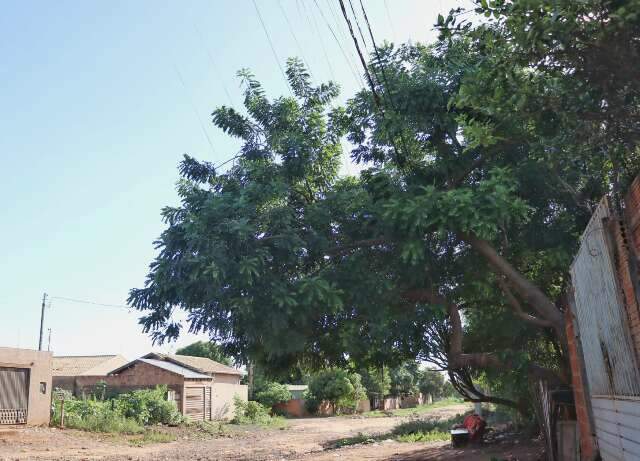 Na Capital, duas crian&ccedil;as ficam feridas ap&oacute;s tomarem choque em fia&ccedil;&atilde;o el&eacute;trica