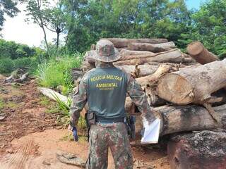 Policial militar ambiental fiscalizando área com crime ambiental de desmatamento. (Foto: PMA)