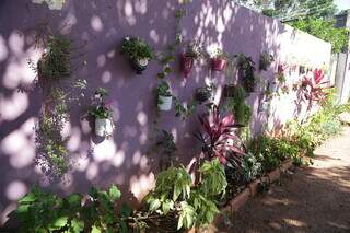 Muro na Rua Roberto Medeiros foi decorado com plantas. (Foto: Kísie Ainoã)
