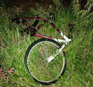 Bicicleta que a vítima utilizava foi parar em área de vegetação (Foto: Direto das Ruas) 