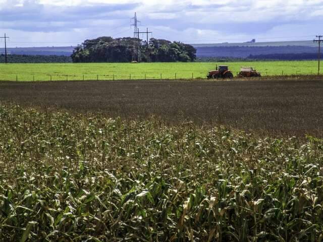 MS deve ficar em 3&ordm; lugar na proje&ccedil;&atilde;o do Banco Central de crescimento do PIB 