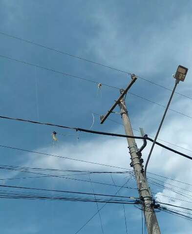 Linha de pipa deixou 2,3 mil moradores sem energia el&eacute;trica neste domingo