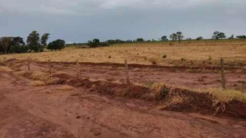 Fazendeiro é multado em R$ 130 mil por pulverizar agrotóxico em área vizinha