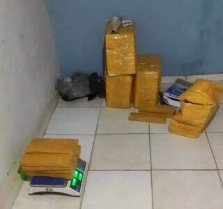 Pol&iacute;cia encontra 98,8 quilos de maconha armazenada em quitinete no Universit&aacute;rio