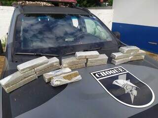 Mulher &eacute; presa com encomenda de 17 tabletes de maconha para Campo Grande