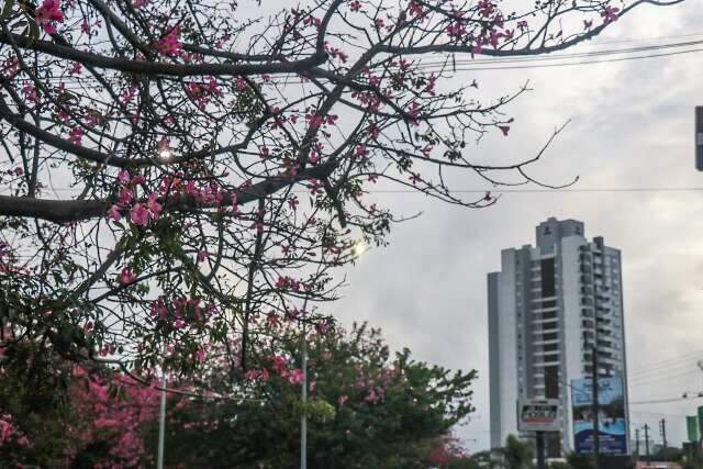 Tempo instável predomina e máxima não passa dos 33ºC nesta segunda em MS