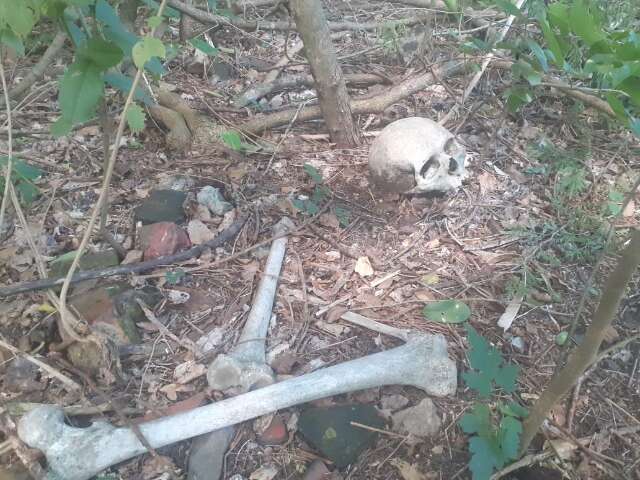 Trabalhador encontra ossada humana &agrave; margem de rodovia enquanto cercava lote