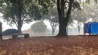 Chuva e ventos fortes atingiram a região da UFMS. (Foto: Direto das Ruas)