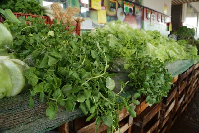 Com 60% das frutas e legumes vindos de fora, pre&ccedil;o de hortifr&uacute;tis vai subir mais