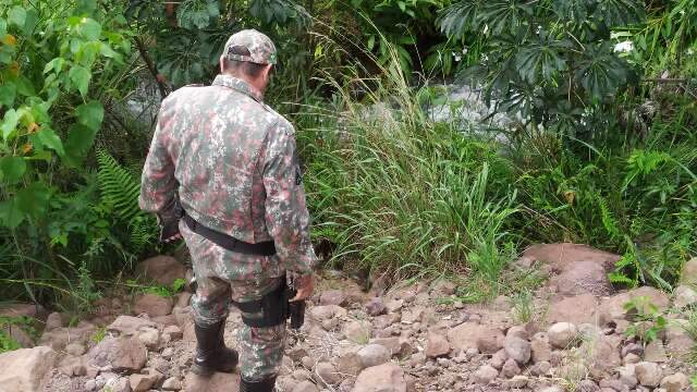 Em Amambai, morador encontra sucuri de 3 metros em terreno