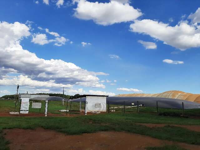 Produção de biogás em MS poderia abastecer cidade do porte de Rochedo