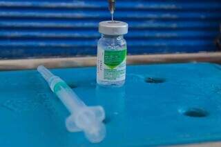 Ampola do imunizante usado na última campanha vacinal contra gripe. (Foto: Marcos Maluf)