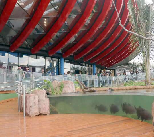 Bioparque abre hoje as portas com 5 milh&otilde;es de litros de &aacute;gua e 60 mil peixes 