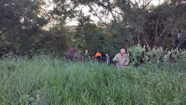 Ap&oacute;s 4 horas, capivara ferida escapa de cerco e for&ccedil;a-tarefa suspende buscas