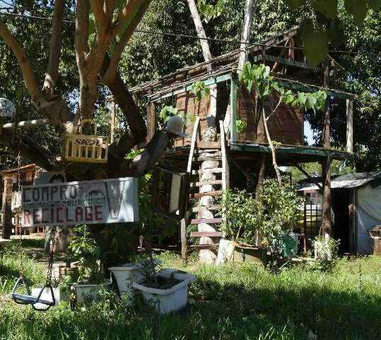Nilson fez casa na árvore para “chamar a atenção do povo”