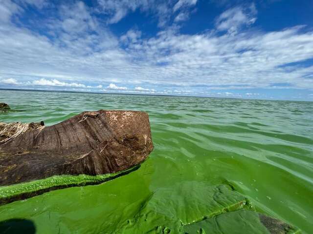 Lago amanhece verde e surpreende moradores