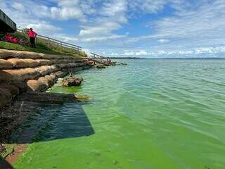 Costa do lago foi tomado por microalgas. (Foto: Nova News)