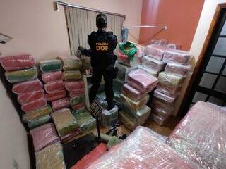 Policial do DOF sobre pilhas de fardos de maconha em residência. (Foto: Divulgação)
