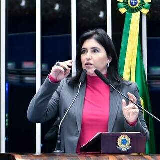 Simone durante sessão no Senado. (Foto: Facebook/Reprodução)