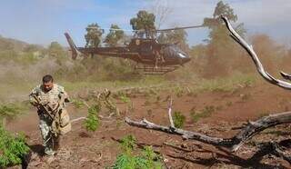 Helicóptero da PF levanta voo de área de cultivo de maconha na fronteira. (Foto: Divulgação)