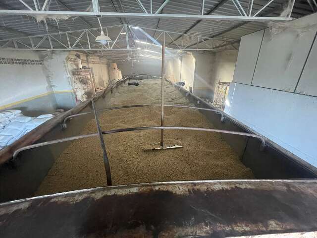 Caminhoneiro &eacute; preso por desviar carga de soja e mentir que havia sido roubado 