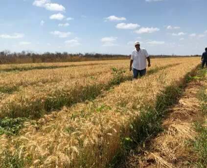 Governo reajusta pre&ccedil;os m&iacute;nimos a produtores para favorecer consumidor