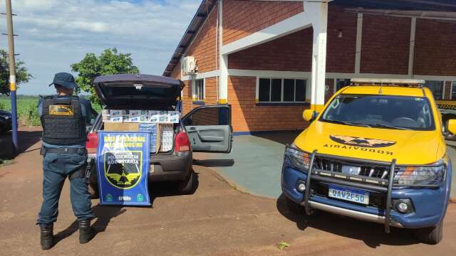 Jovem vai parar na PF ap&oacute;s ser flagrado com R$ 52,5 mil em cigarros do Paraguai 