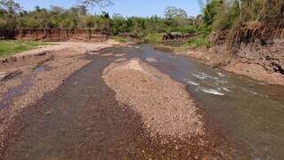 Sem proteção de mata ciliar, terra invade o leito do Rio Miranda. (Foto: IHP)